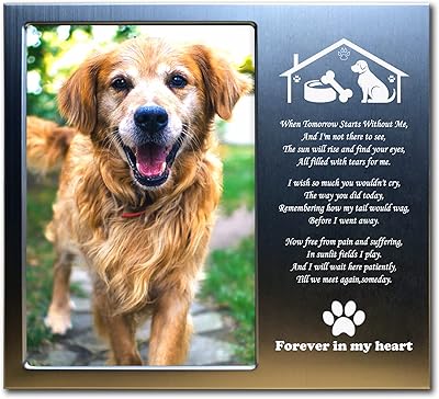 Cadre photo commémoratif pour animaux de compagnie guidedtoon taille 5x7 | cadeaux commémoratifs pour animaux de compagnie | cadeaux de sympathie pour la perte de chiens ou de chats. (t2). Diaytar : Le e-commerce qui respecte votre budget