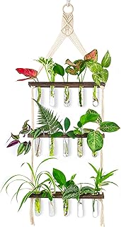 Jardinière murale evolador avec support en bois