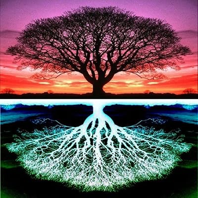 Kit de peinture diamant 5d beauty deluxe pour enfants et adultes, kit complet de peinture diamant pour décoration murale (f, 30 x 30 cm) – Photo produit Dakar Sénégal – Livraison rapide Kit de peinture diamant 5d beauty deluxe pour enfants et adultes, kit complet de peinture diamant pour décoration murale (f, 30 x 30 cm). Diaytar : Votre source de bonnes affaires en ligne