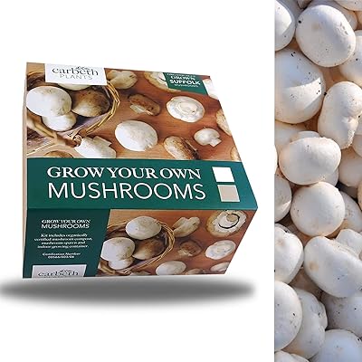 Kit de culture de champignons carbeth plants - cultivez vos propres champignons blancs du suffolk - parfait pour les débutants. Gagnez du temps et de l'argent avec Diaytar