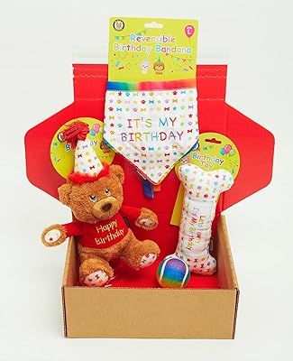 Coffret cadeau d'anniversaire pour chien de 4 pièces coffret parfait pour que