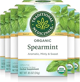 Tisane traditionnelle à la menthe biologique medicinals - 16 sachets de thé
