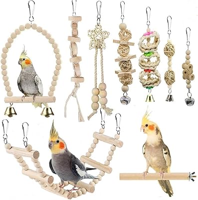 Jouets balançoires pour oiseaux et perroquets, 9 pièces de bois naturel, ensemble