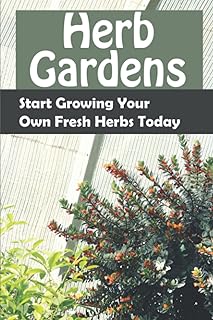 Jardins d'herbes aromatiques : commencez à cultiver vos propres herbes fraîches dès aujourd'hui