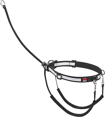 Harnais anti-traction mickey pour chiens et chiots plus besoin de tirer de tirer