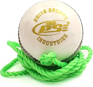Balle de cricket n1 en cuir psi pria sports newball 2