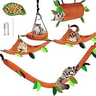 Ensemble de balançoire sugar glider 5 pièces accessoires de cage suspendue pour petits