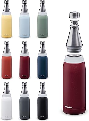Bouteille d'eau en acier inoxydable aladdin fresco thermavac - anti-fuite - garde le froid