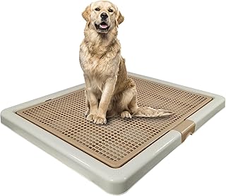 Toilettes de dressage faciles à nettoyer pour toutes races de chiens avec plateau