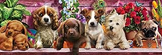 Papier peint chambre d'enfant groupe de chiens mignons fleur canapé salon bureau décoration
