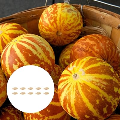 10 pièces de melons tigrés pour la plantation, légumes cucurbita annuels savoureux