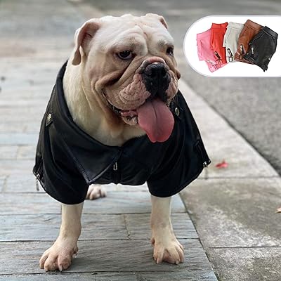Loflong belle veste en cuir pour chien coupe-vent chaud manteaux pour chien manteaux