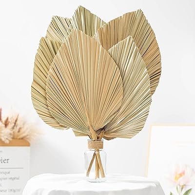 Décor de feuilles de palmier séchées 6 pièces tropicales naturelles lances suspendues. Transformez votre façon de consommer avec Diaytar Sénégal