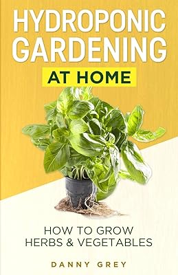 Jardinage hydroponique à la maison : comment faire pousser des herbes