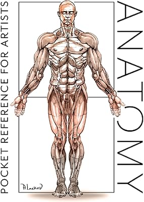 Anatomie : référence de poche pour les artistes
