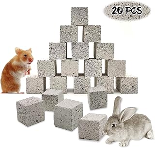 20 pièces cubes de lave hamildi lapin jouets à mâcher pierre de calcium