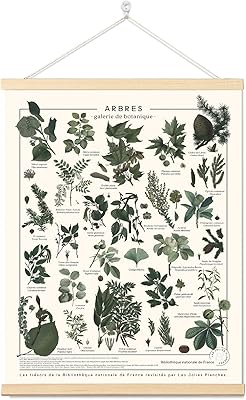Affiche d'art mural à suspendre armindou french nuts 16\" x22\"