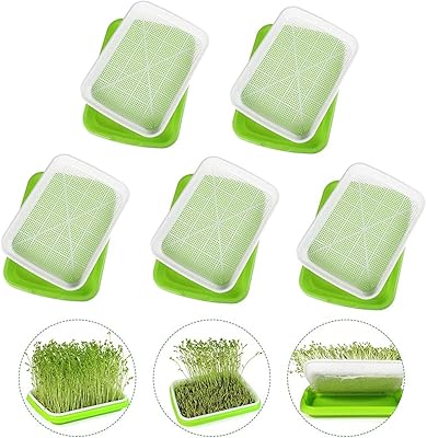 Ensemble de 5 plateaux de plantation de graines hydroponiques en plastique sans sol