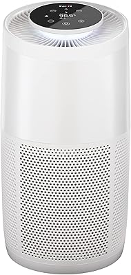 Purificateur d'air hepa instantané pour les allergènes domestiques et les squames d'animaux, élimine