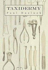 Taxidermie - comprenant le dépouillement, l'empotage et le montage d'oiseaux, de mammifères et de poissons. L'alternative e-commerce intelligente au Sénégal : Diaytar