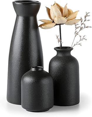 Ensemble de vases en céramique noire 3 petits décoratifs décoration