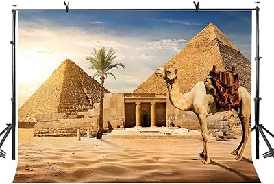 Fond de photographie de conception de pyramide de lys 7x5 pieds avec motif