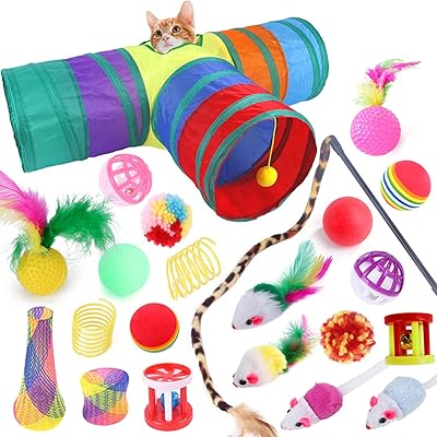 Jouets pour chat rudason, ensemble de jeu pliable pour chaton d'intérieur - jouet