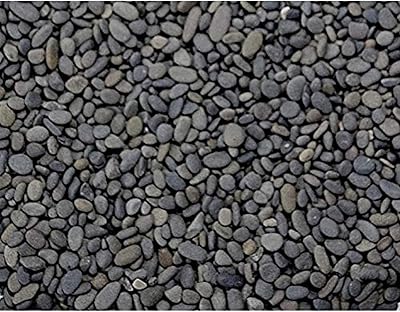 Aquascaping d'eau douce laquaria dymax pearly sand, noir, 9-12 mm / 4 kg. Diaytar : Des promotions exceptionnelles toute l'année pour tous les Sénégalais