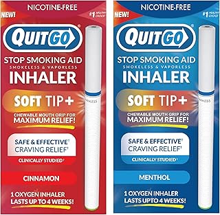 Remède pour arrêter de fumer, inhalateur d'oxygène sans fumée, embout buccal à croquer