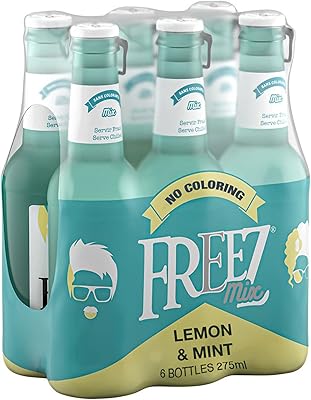 Mélange de soda gazeux au citron et à la menthe, boisson froide