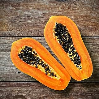 30 morceaux de graines de papaye nécessitent peu de soins, profitez de la culture de fruits rouges avec peu d'entretien, toute la famille peut profiter du bon démarreur. Diaytar : Vivez l'expérience du shopping malin