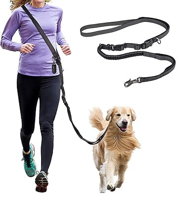 Laisse pour chien wise4 de grande taille : 218 cm, collier mains libres