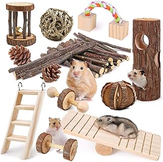 Ensemble de 12 jouets à mâcher pour hamster, jouets molaires pour petits animaux