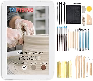 Argile séchée à l'air torising 10 lb avec ensemble d'outils de poterie