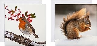 Cartes de noël hallmark - paquet de 16 en 2 motifs national geographic