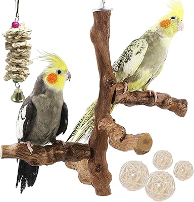 6 pièces perchoir naturel avec jouets à mâcher, support pour oiseaux en raisin