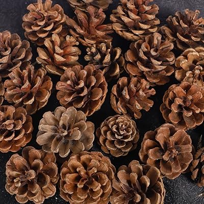 Yahome 20 pièces pommes de pin naturelles, décorations de pommes de pin