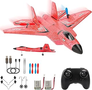 Avion rc f22 avion prêt à voler jouet d'avion 24 ghz pour garçons