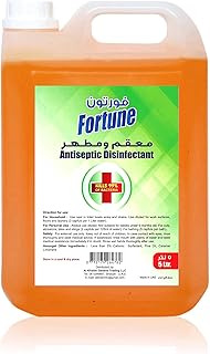 Fortin liquid disinfectant disinfectant 5 lite, le meilleur nettoyant ménager pour planchers, éviers