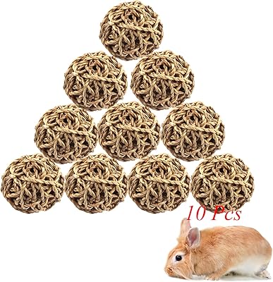 Jouet balle pour petits animaux, jouet d'activité lapin, jouets à mâcher pour petits