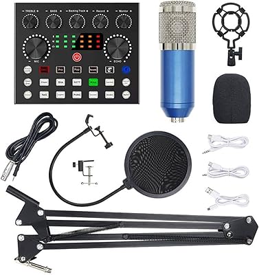 Le kit de microphone de carte son direct bebebsky v8s smart tone tuning