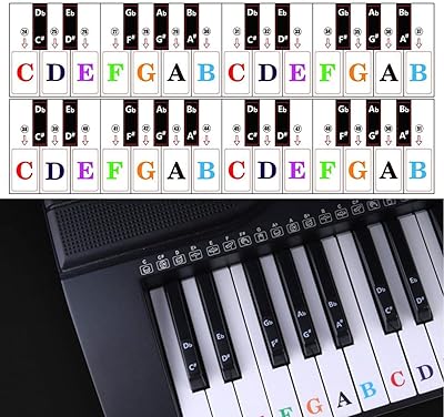 Autocollants de piano autocollants de touches de piano pour 88-61-54-49-37 ensemble complet noires et blanches. Diaytar : Là où commence votre expérience shopping idéale