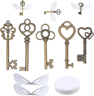 Okeyfull 50pcs breloques clés volantes squelette vintage avec ailes de libellule et chaîne