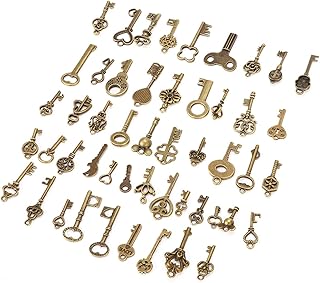 Accessoires de décoration de porte-clés squelette, pendentifs de porte-clés décoratifs, collier, antique pour la décoration de vêtements, bijoux de bricolage. Diaytar : Parce que vous méritez le meilleur sans vous ruiner