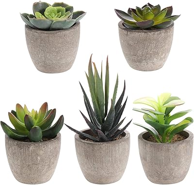 Yardui 5 pièces mini plantes succulentes artificielles créatives décoration en pot succulente