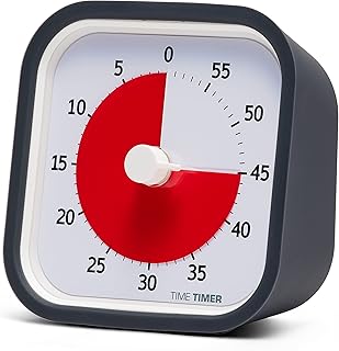 Minuterie mod (charbon) minuterie visuelle analogique de 60 minutes alarme en option (marche-arrêt)