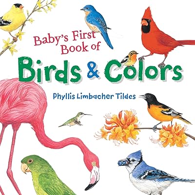 Premier livre d'oiseaux et de couleurs de bébé