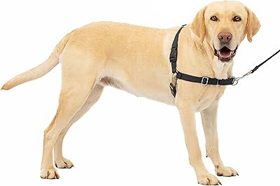 Harnais pour chien petsafe easy walk sans traction noir argent grand (ewh-hc-l-blk)
