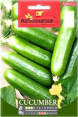 Concombre agrimax - semences. Découvrez le shopping sans frontières avec Diaytar Sénégal
