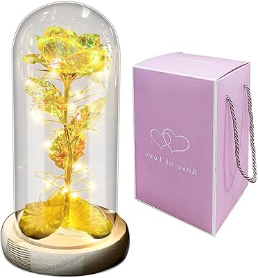 Rose dorée dans un dôme en verre avec bande lumineuse led charmant cadeau